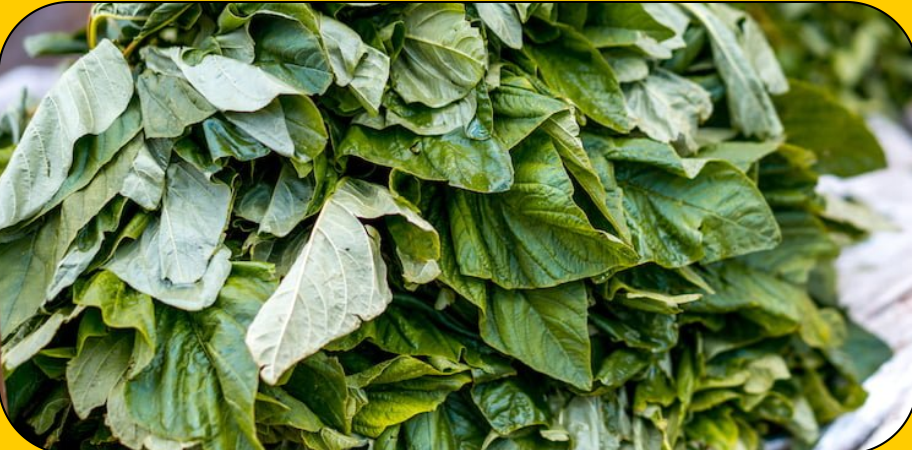 Dried Ugwu Leaves